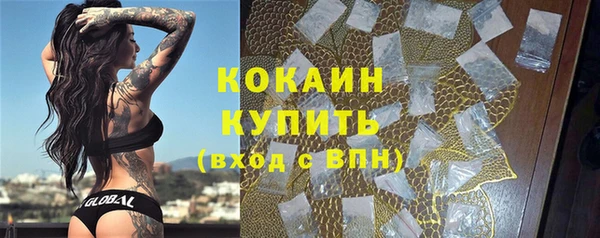 тгк Бронницы