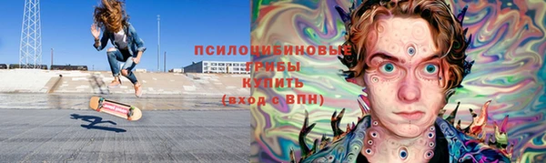 тгк Бронницы